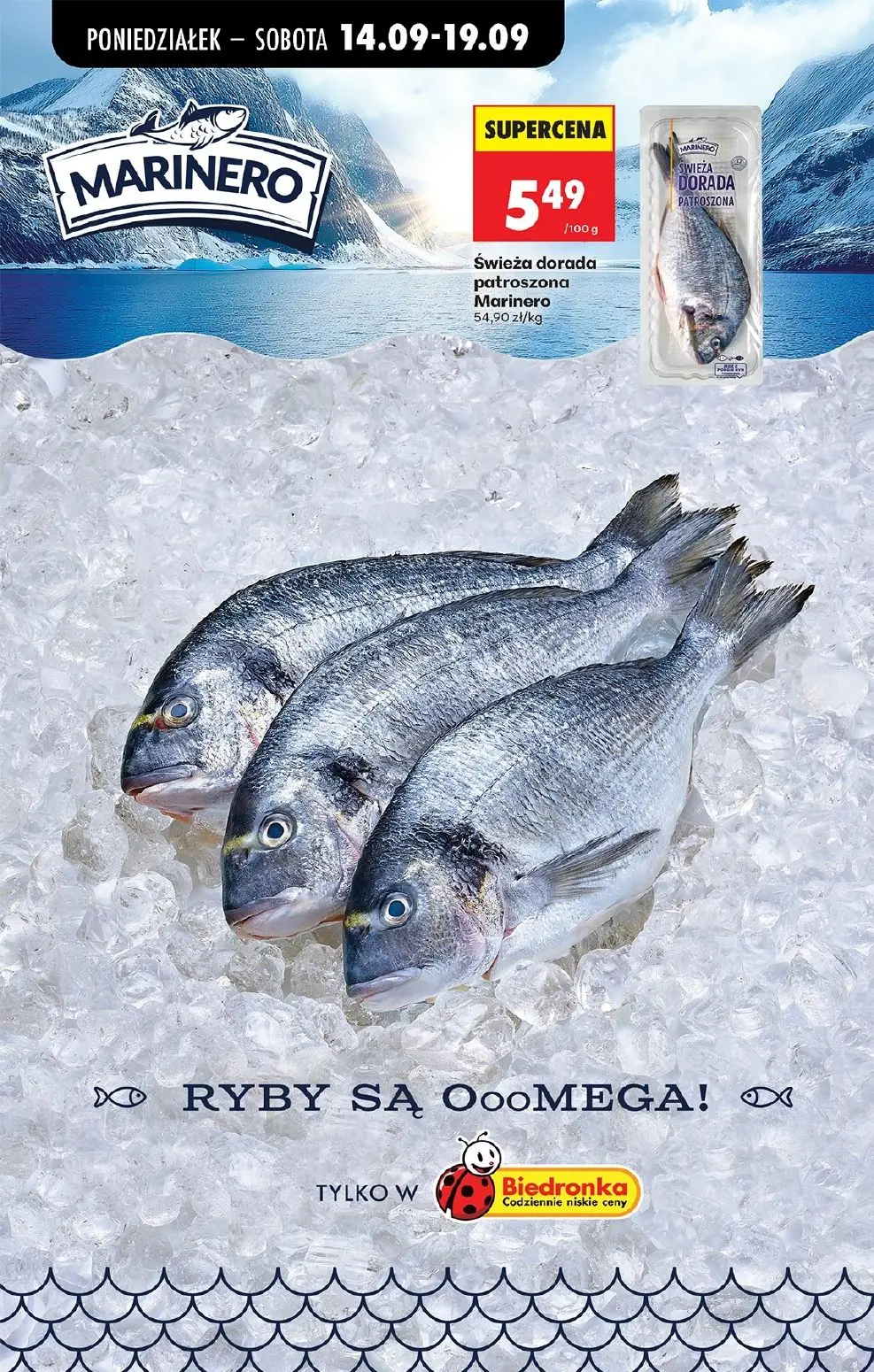 gazetka promocyjna Biedronka Od poniedziałku - Strona 44