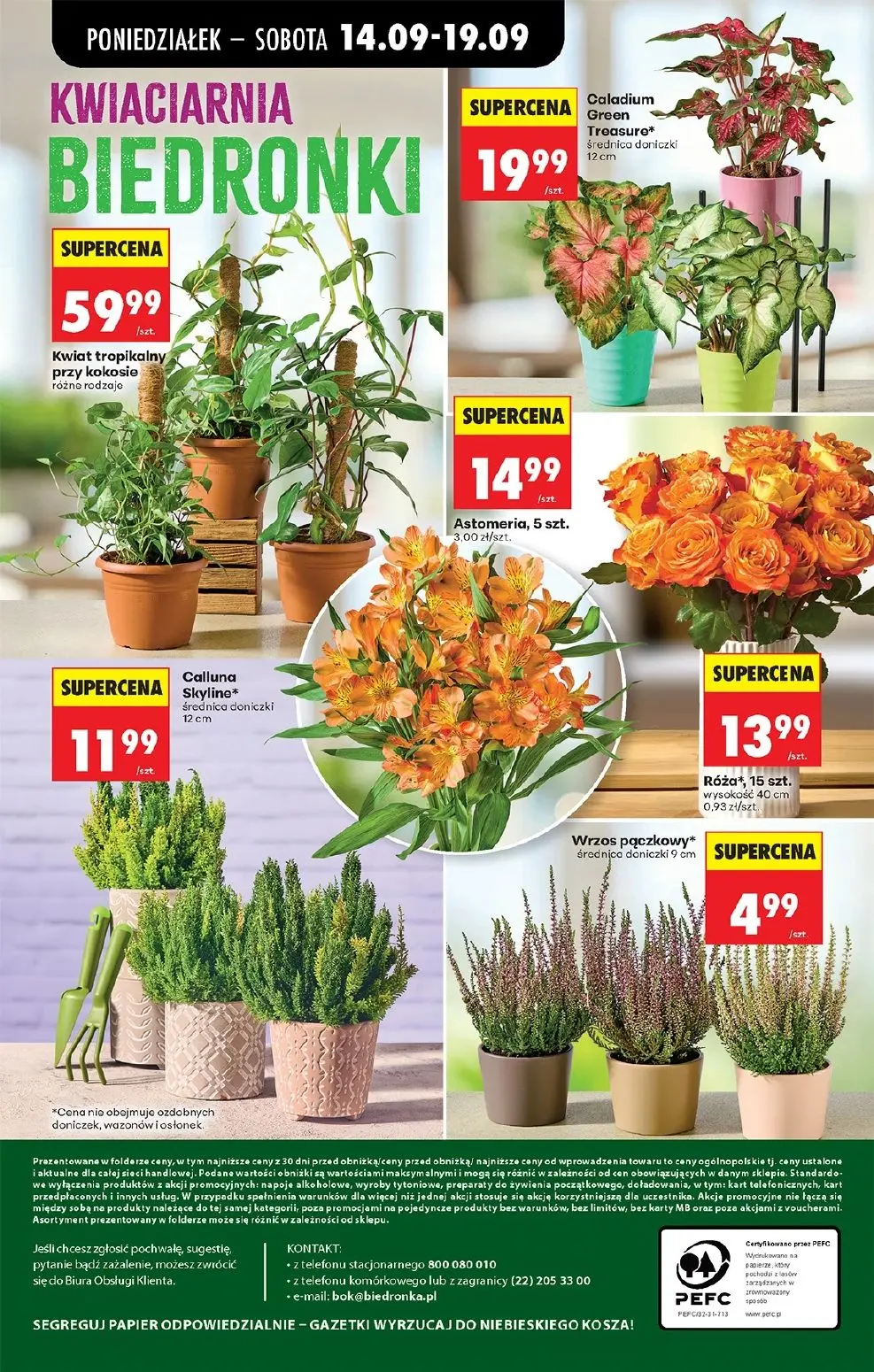 gazetka promocyjna Biedronka Od poniedziałku - Strona 99