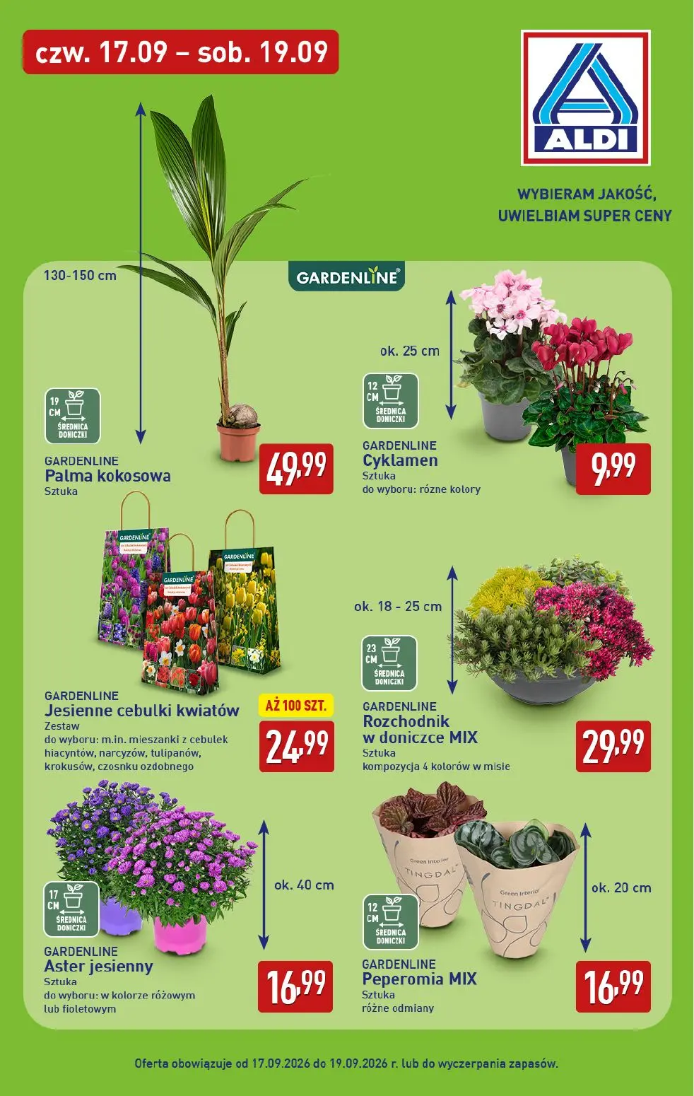 gazetka promocyjna ALDI 🪴🪴🪴 - Strona 2
