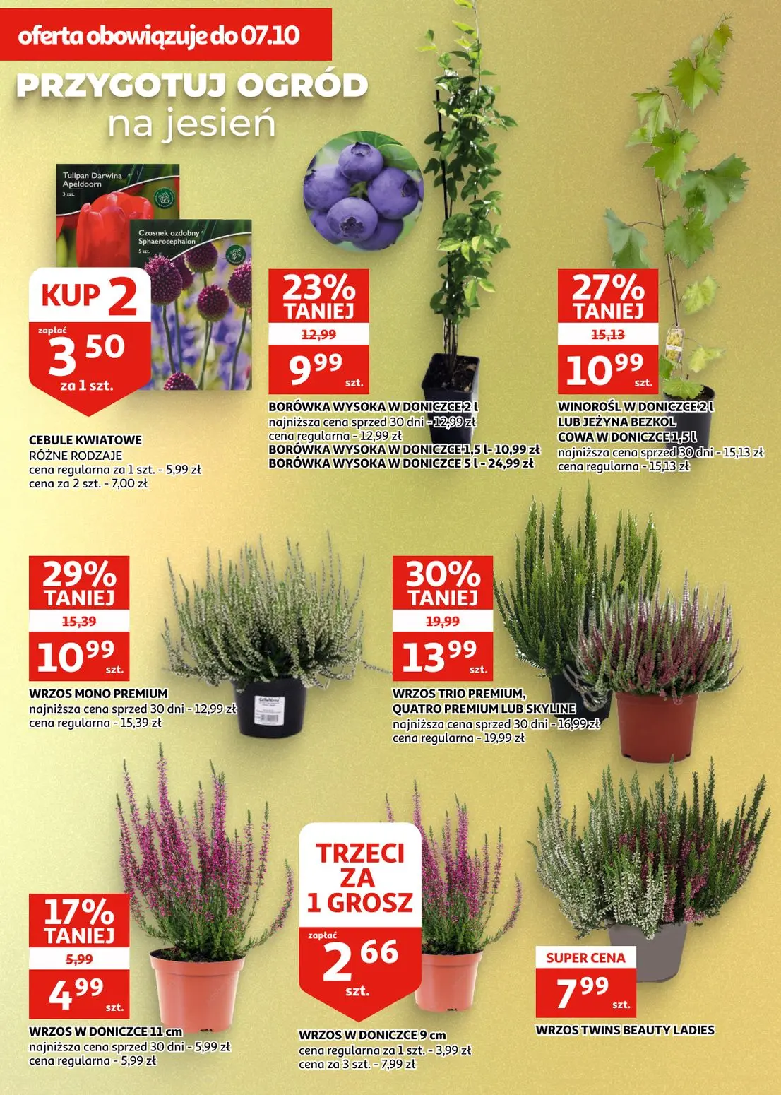 gazetka promocyjna Auchan Racibórz - Strona 25