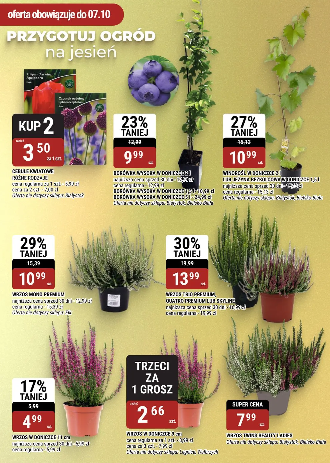 gazetka promocyjna bi1 Białystok - Strona 18