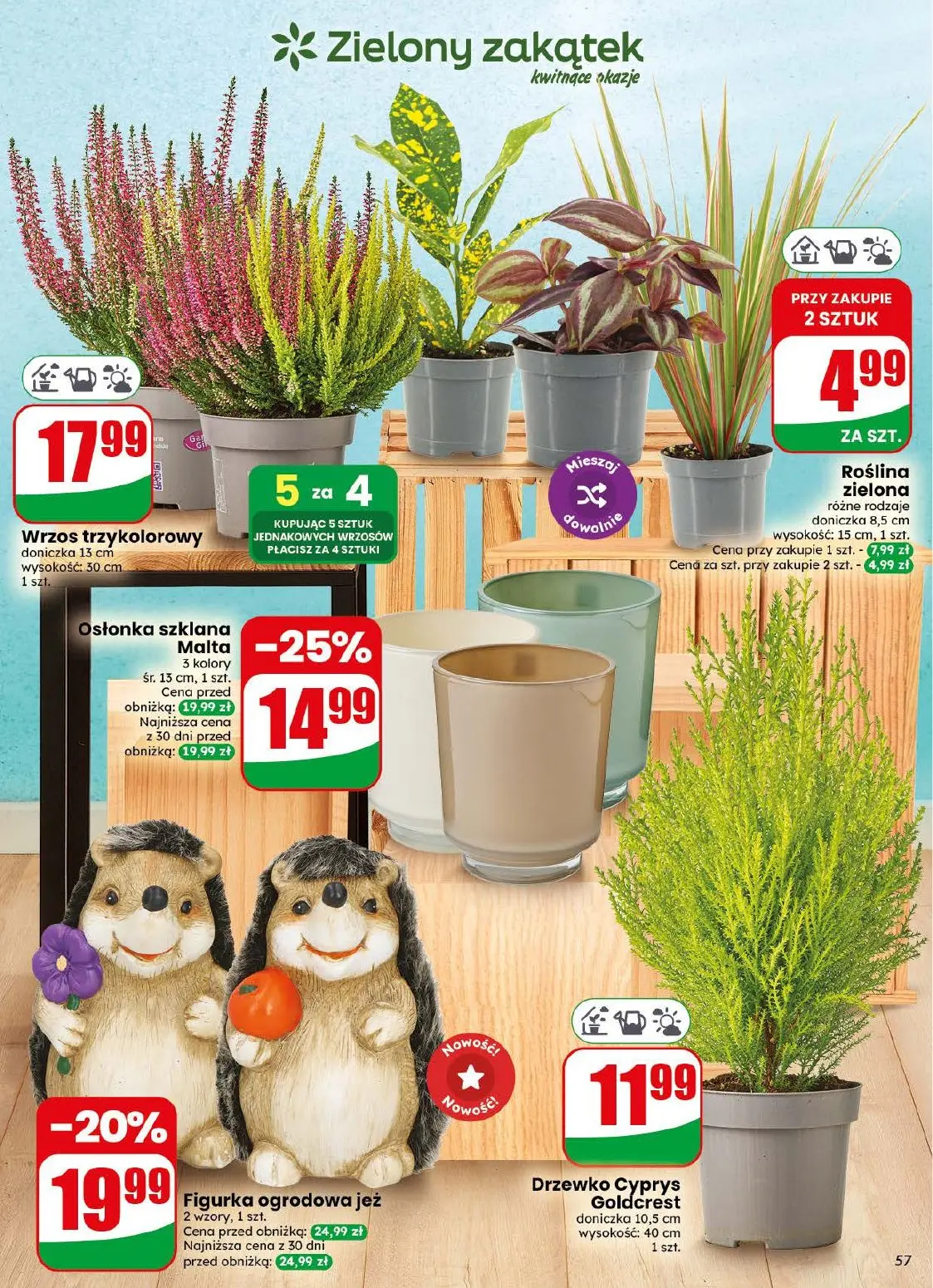 gazetka promocyjna dino Najbliżej Ciebie - Strona 57