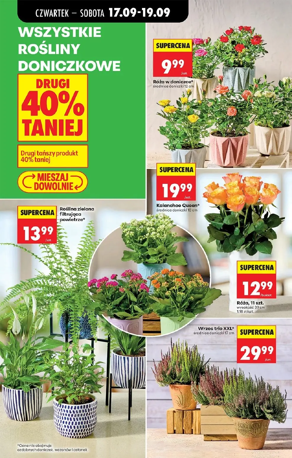 gazetka promocyjna Biedronka Od czwartku - Strona 77