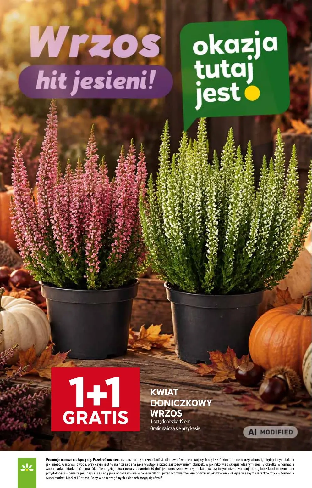 gazetka promocyjna Stokrotka Market Od czwartku - Strona 13
