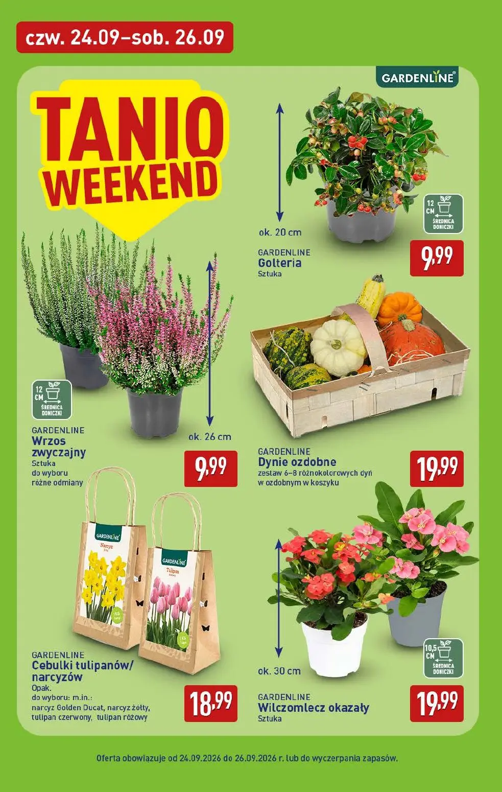 gazetka promocyjna ALDI  - Strona 38