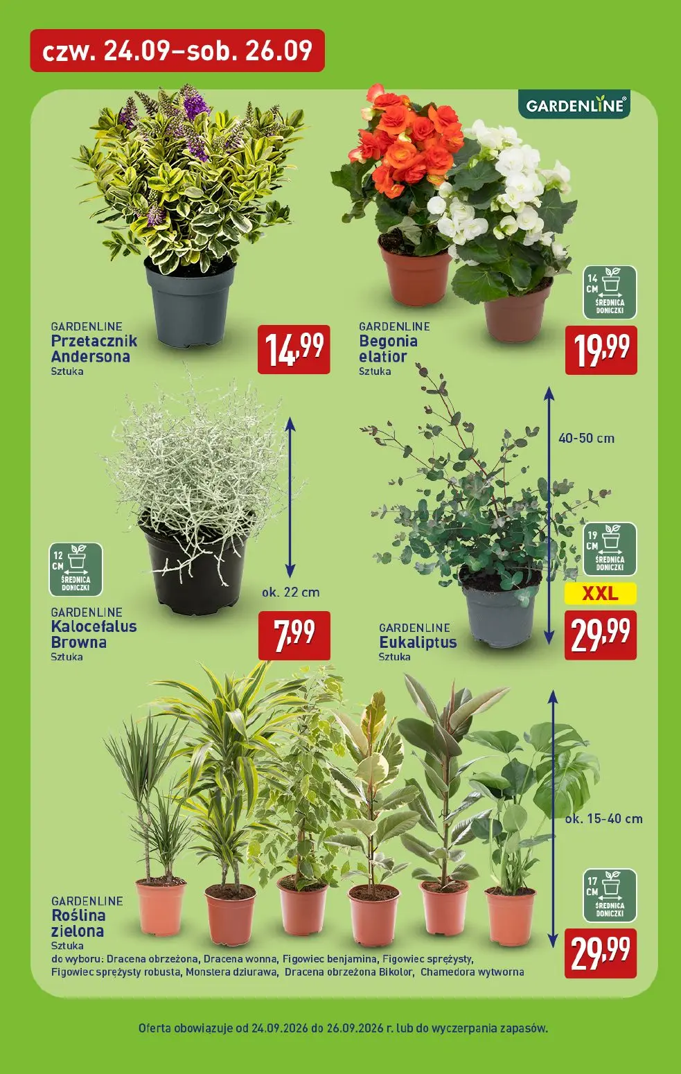 gazetka promocyjna ALDI  - Strona 39
