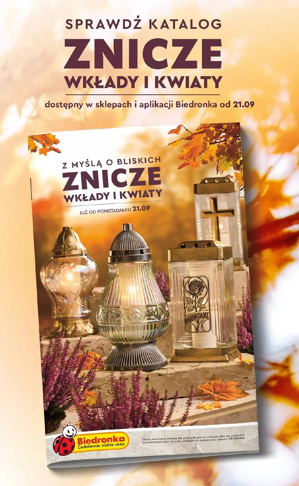 gazetka promocyjna Biedronka Lada tradycyjna. Od poniedziałku - Strona 96