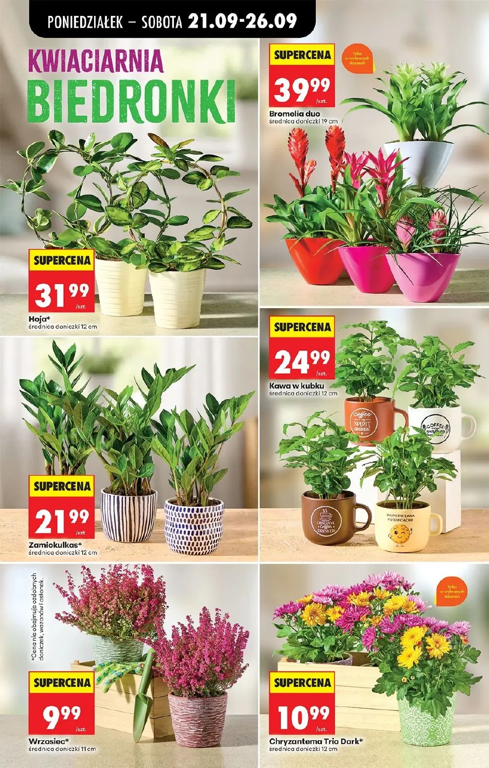 gazetka promocyjna Biedronka Lada tradycyjna. Od poniedziałku - Strona 98