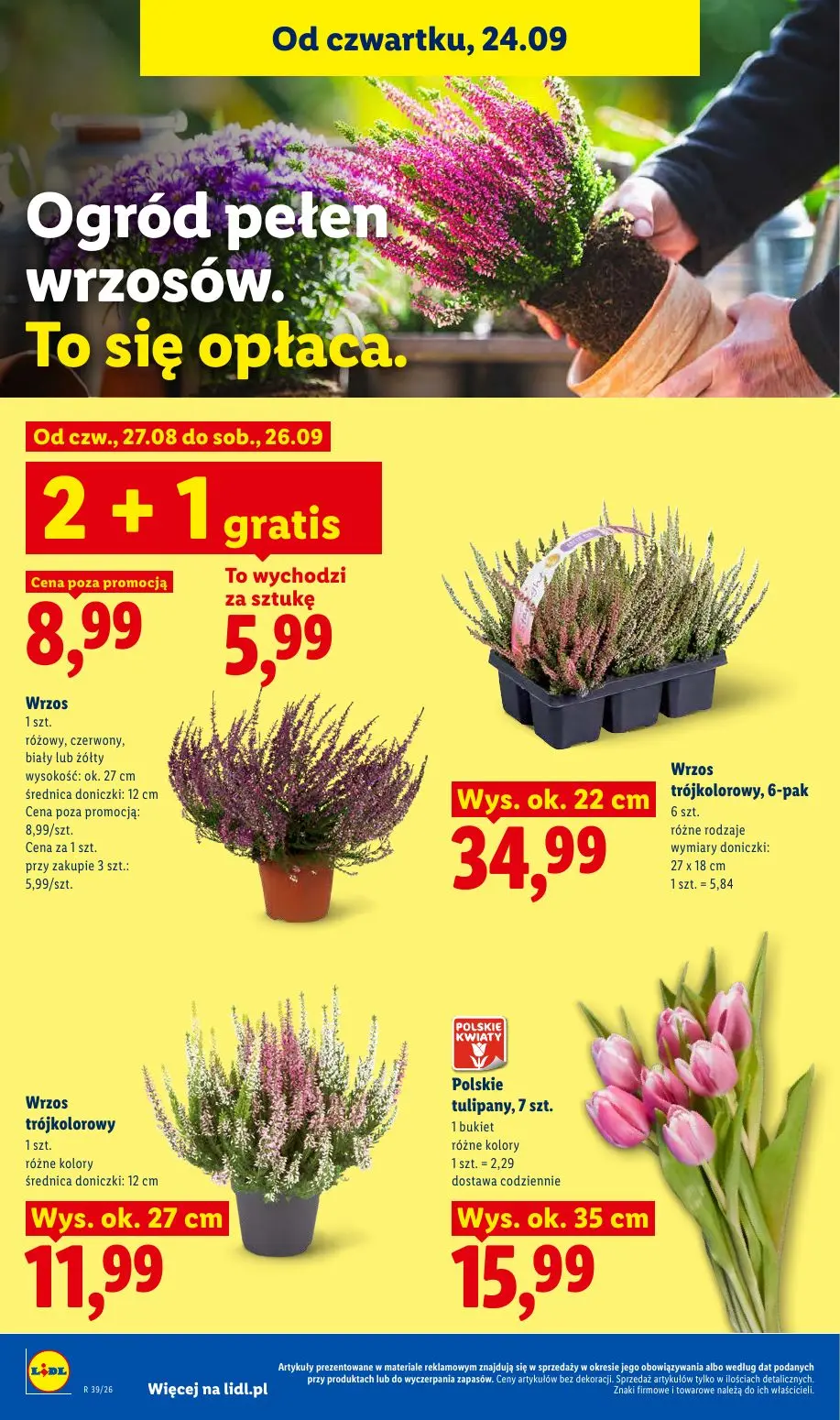 gazetka promocyjna LIDL Od czwartku - Strona 100