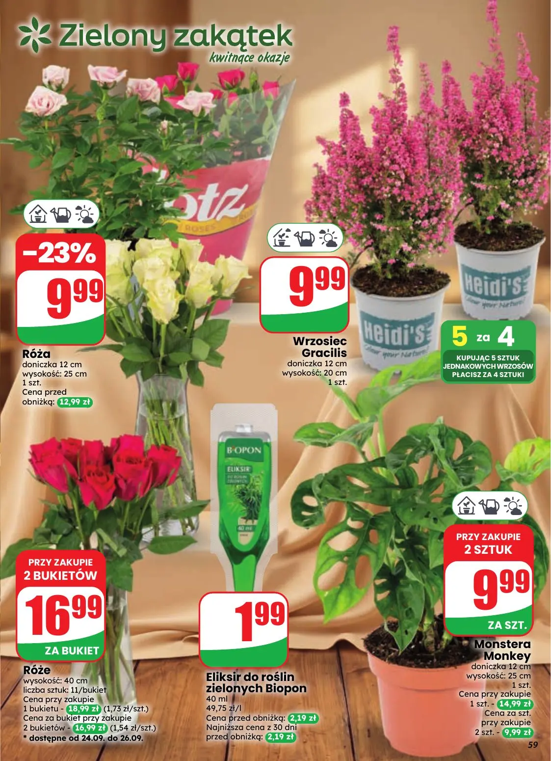 gazetka promocyjna dino Najbliżej Ciebie - Strona 59