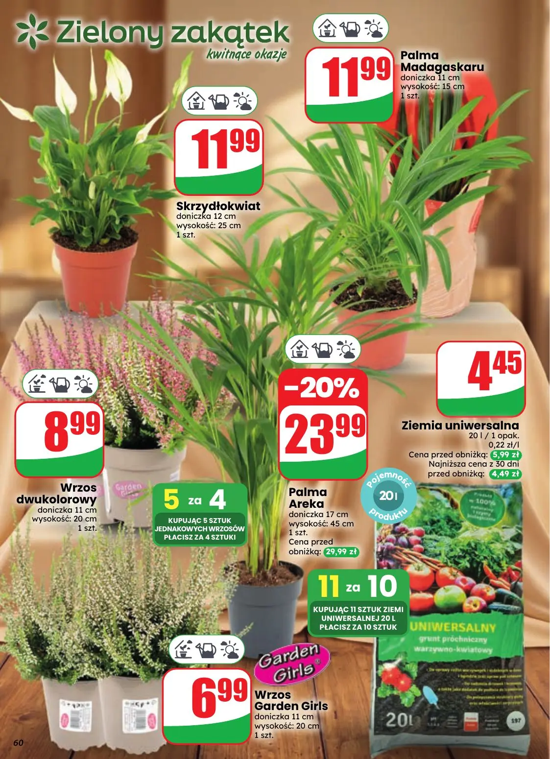 gazetka promocyjna dino Najbliżej Ciebie - Strona 60