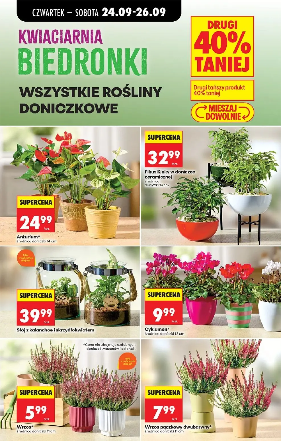gazetka promocyjna Biedronka Lada tradycyjna. Od czwartku - Strona 89