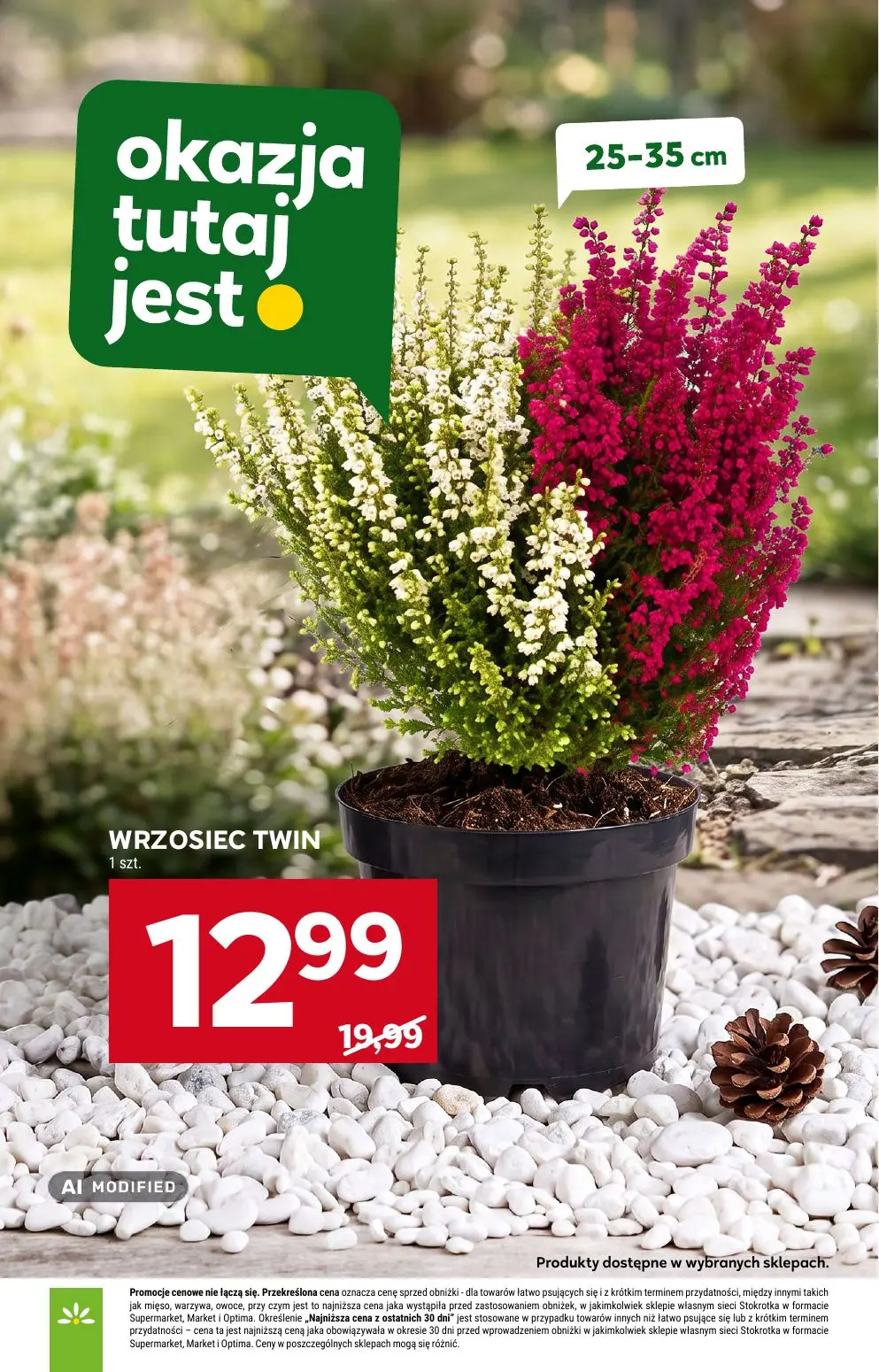 gazetka promocyjna Stokrotka Market Od czwartku - Strona 29