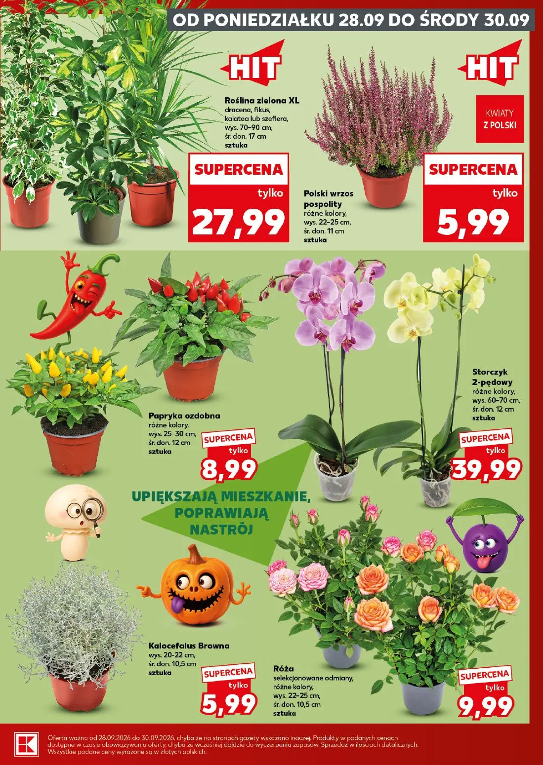 gazetka promocyjna Kaufland Mocny Start - Strona 5