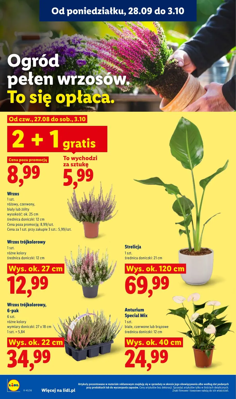 gazetka promocyjna LIDL Od poniedziałku - Strona 88