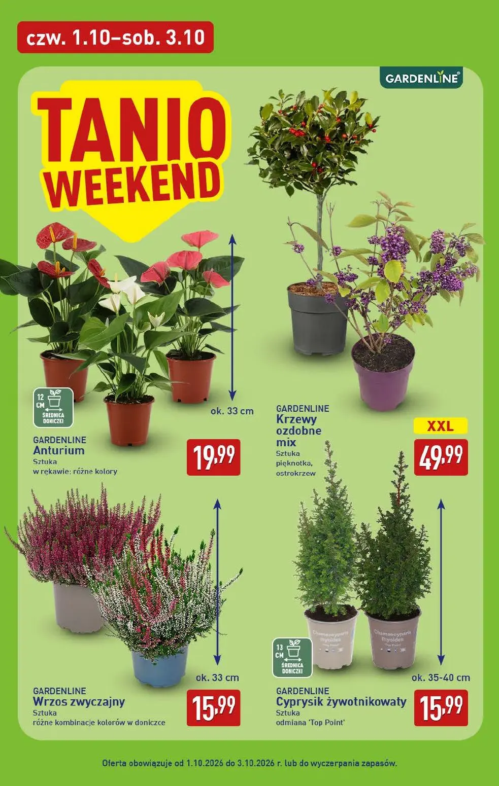 gazetka promocyjna ALDI Wybieram ALDI 🛒 - Strona 42
