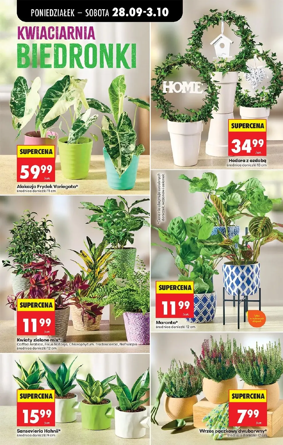 gazetka promocyjna Biedronka Lada tradycyjna. Od poniedziałku - Strona 42
