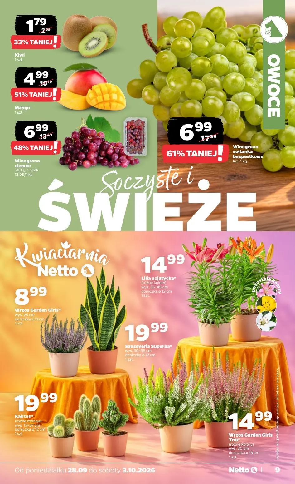 gazetka promocyjna NETTO Gazetka spożywcza - Strona 9