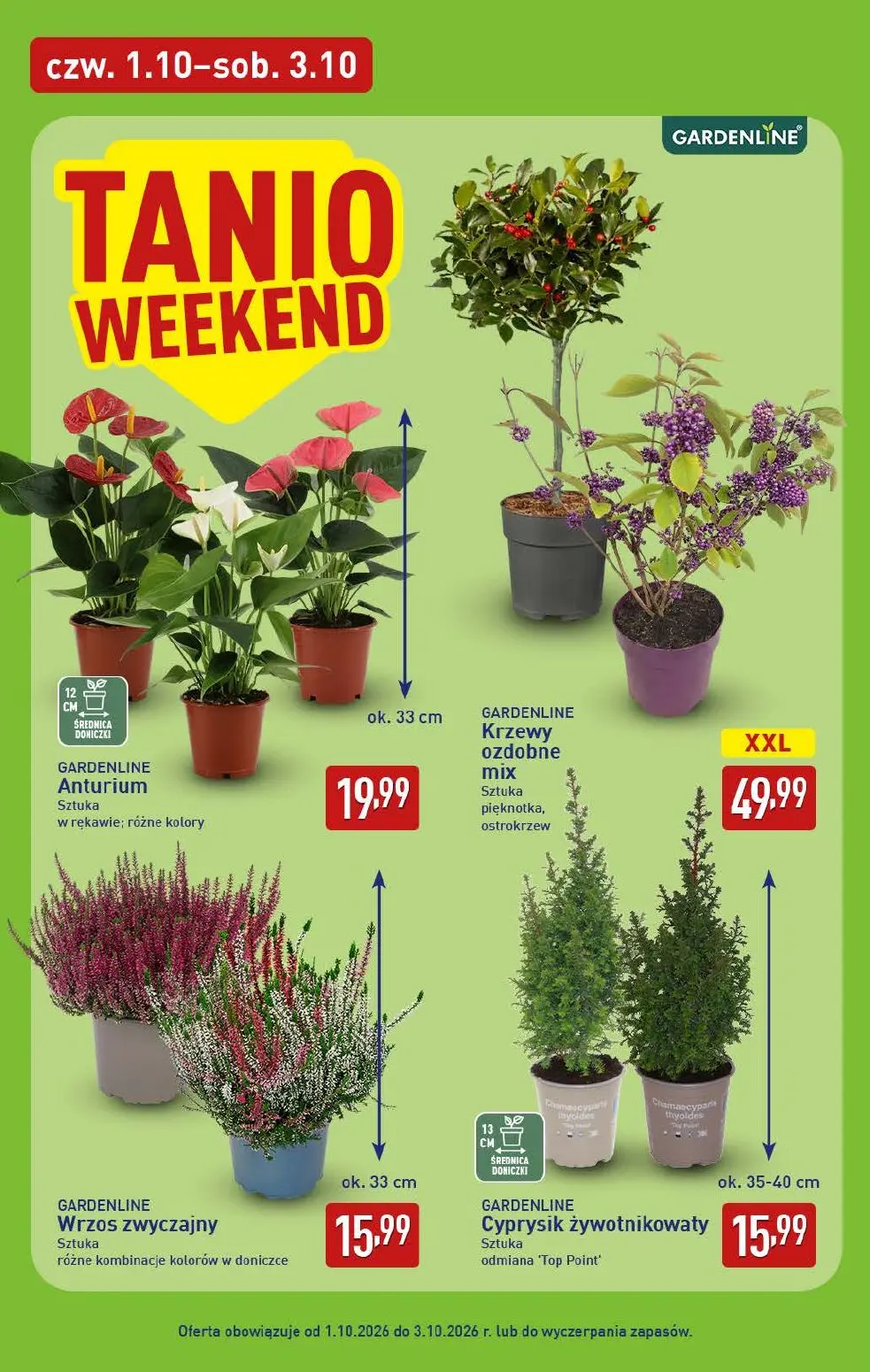 gazetka promocyjna ALDI Oferta na WEEKEND - Strona 6