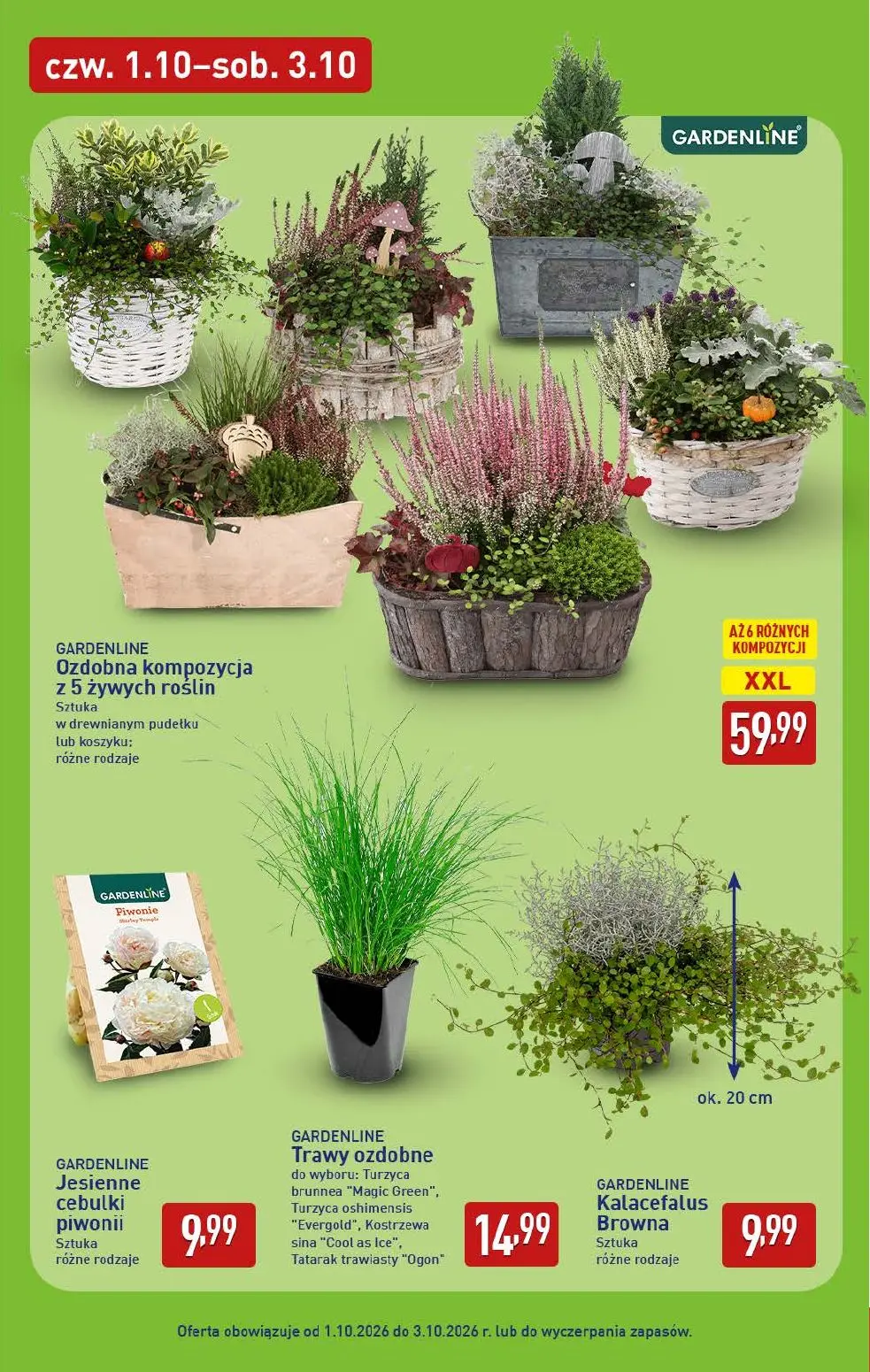 gazetka promocyjna ALDI Oferta na WEEKEND - Strona 7