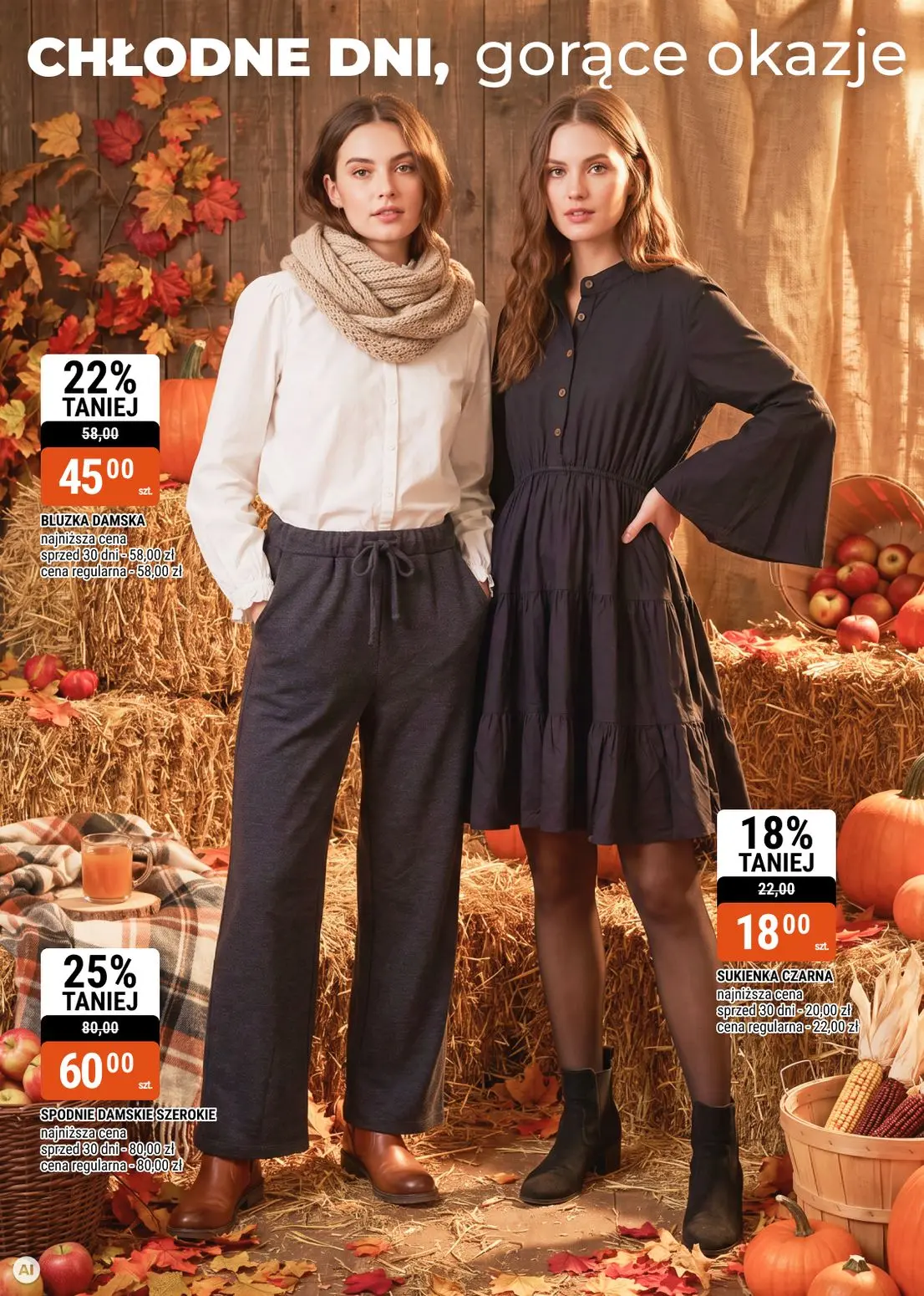 gazetka promocyjna bi1 Czeladź, Legnica, Rzeszów, Szczecin, Wałbrzych - katalog jesień - Strona 2