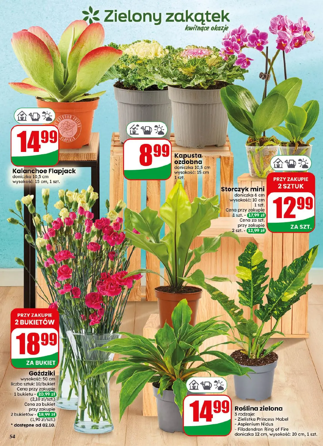 gazetka promocyjna dino Najbliżej Ciebie - Strona 54
