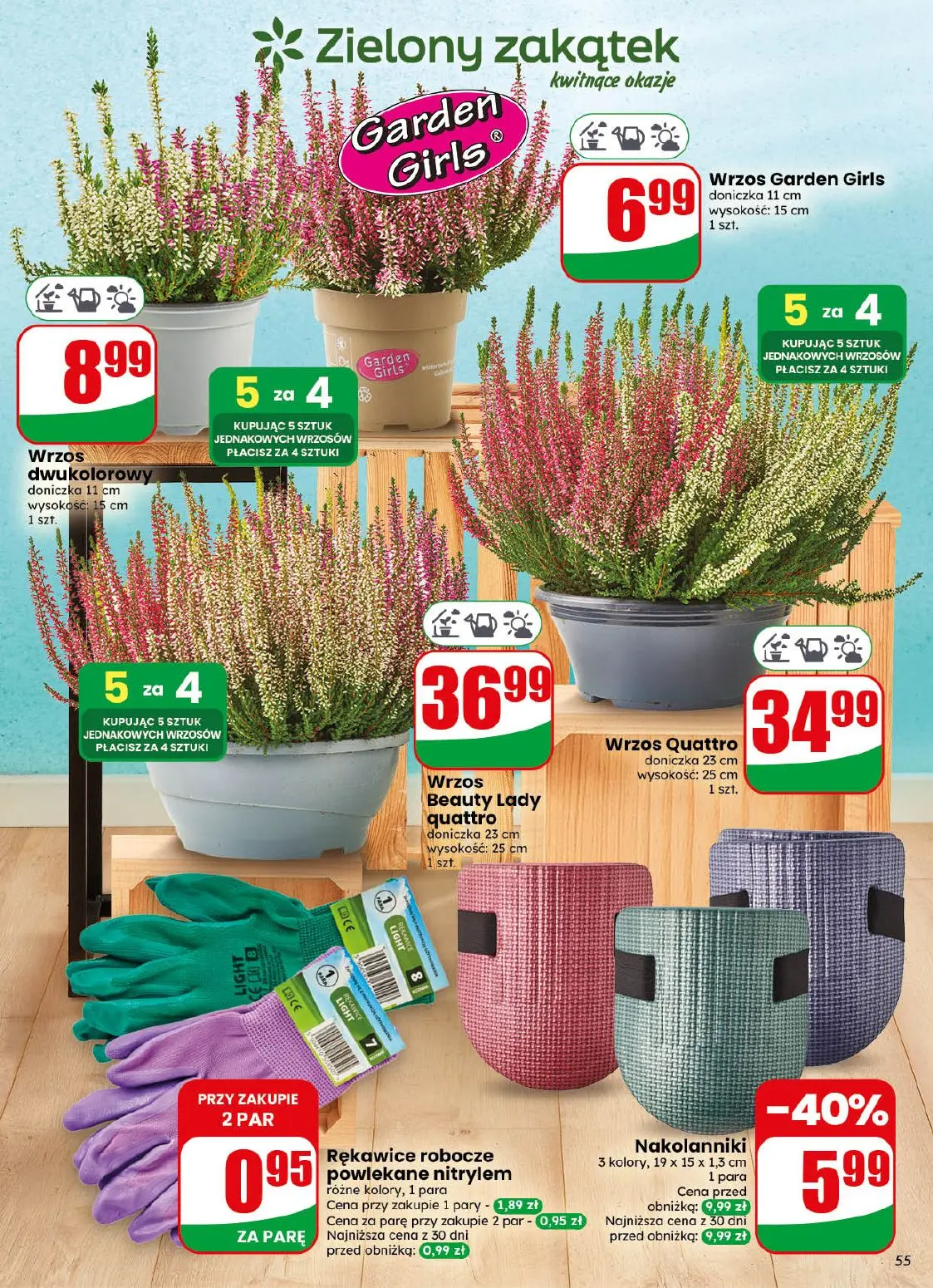 gazetka promocyjna dino Najbliżej Ciebie - Strona 55