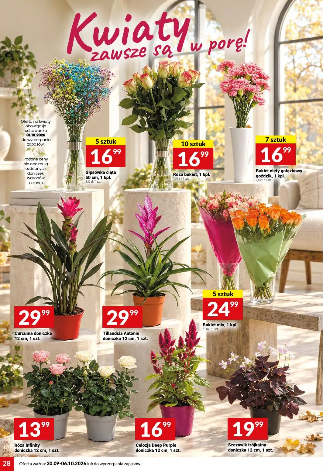 gazetka promocyjna Twój Market Moc promocji - Strona 28
