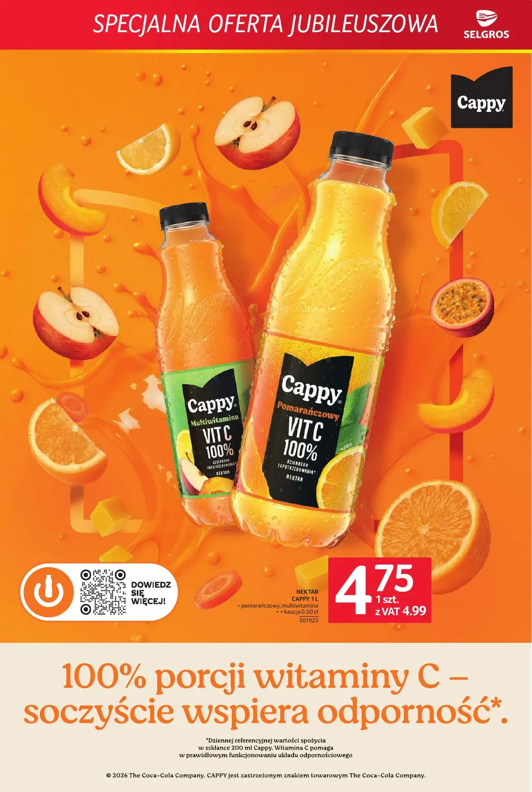 gazetka promocyjna SELGROS Specjalna oferta jubileuszowa - Strona 11