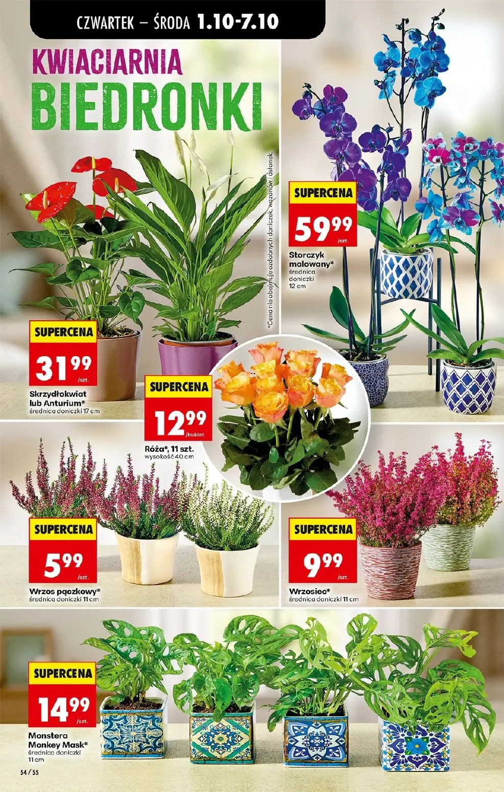 gazetka promocyjna Biedronka Od czwartku - Strona 76