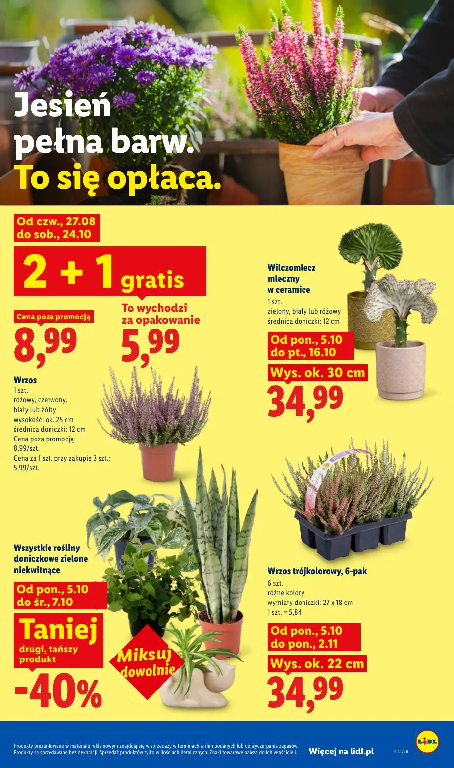 gazetka promocyjna LIDL Od poniedziałku - Strona 89