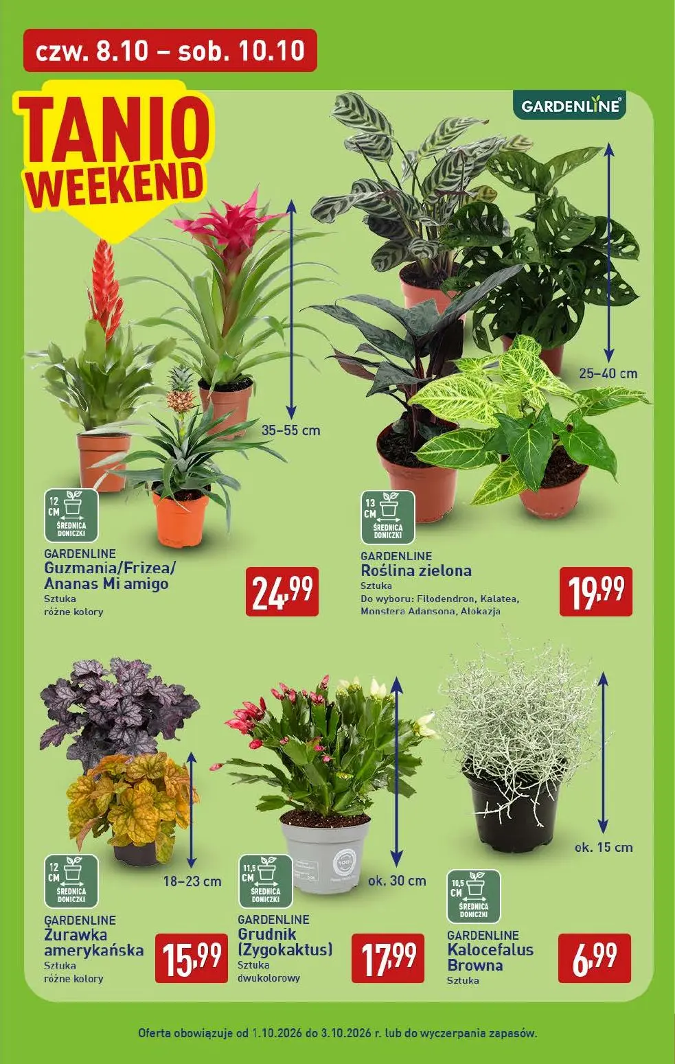 gazetka promocyjna ALDI Wybieram ALDI - Strona 39