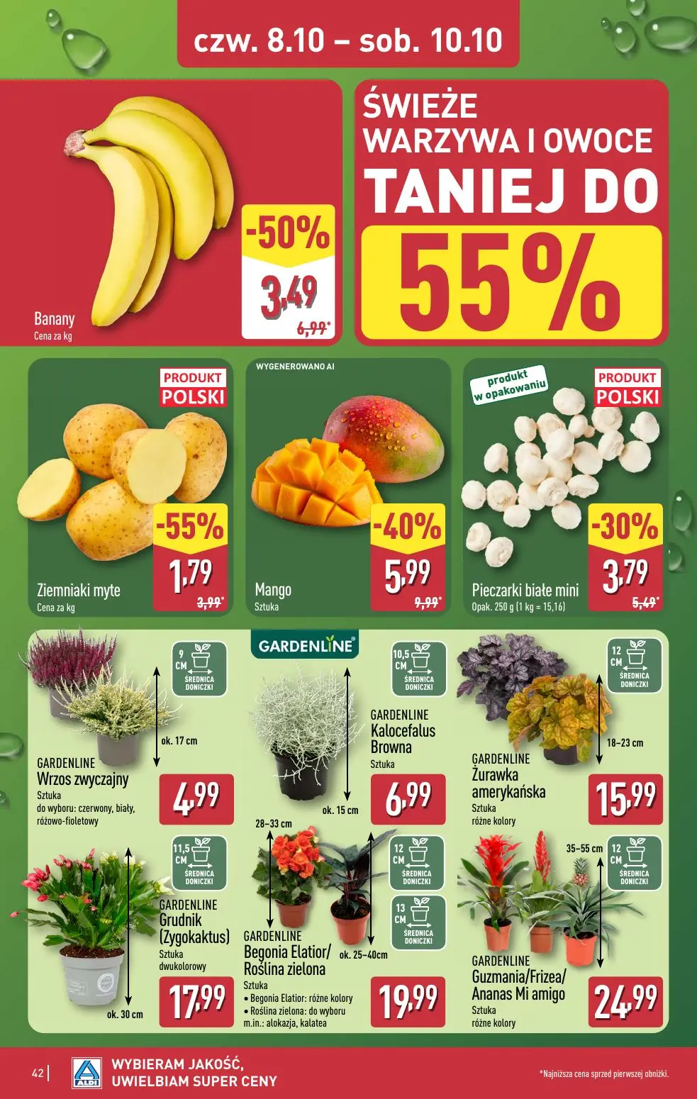 gazetka promocyjna ALDI Wybieram ALDI - Strona 42