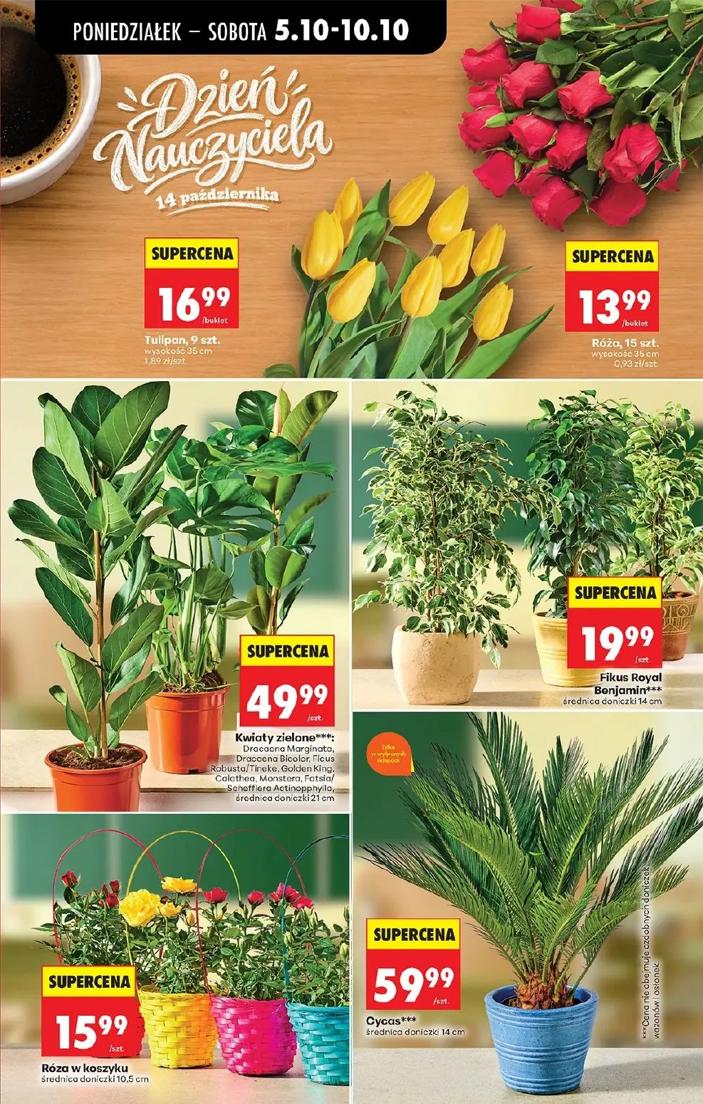 gazetka promocyjna Biedronka Lada tradycyjna. Od poniedziałku - Strona 20