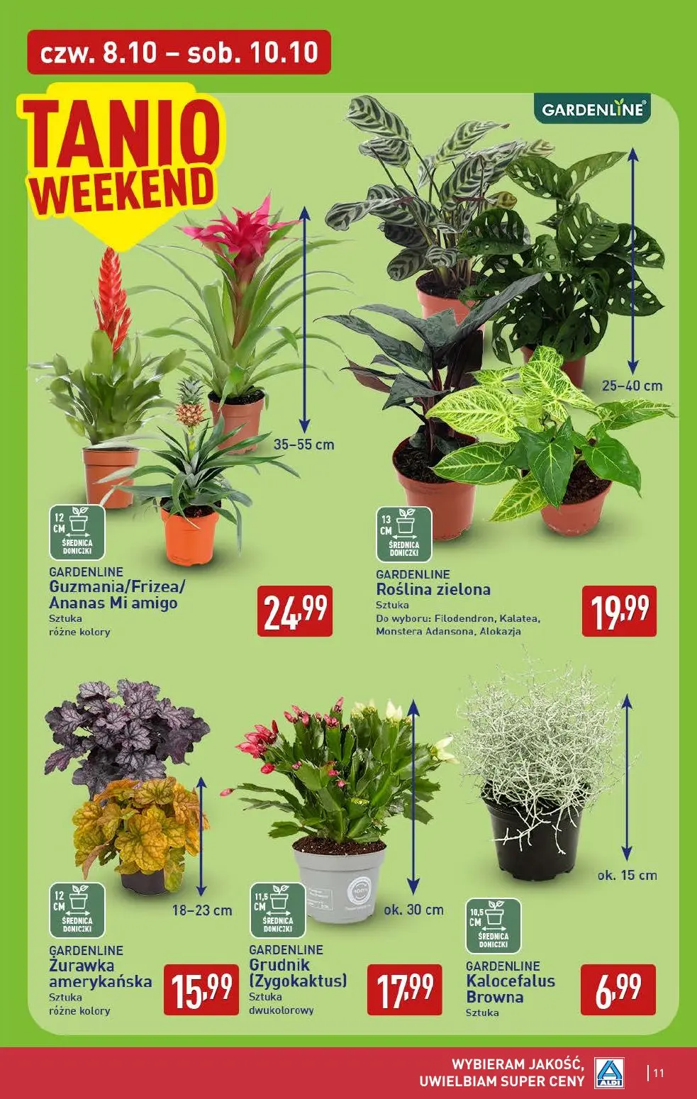 gazetka promocyjna ALDI Oferta na WEEKEND - Strona 11