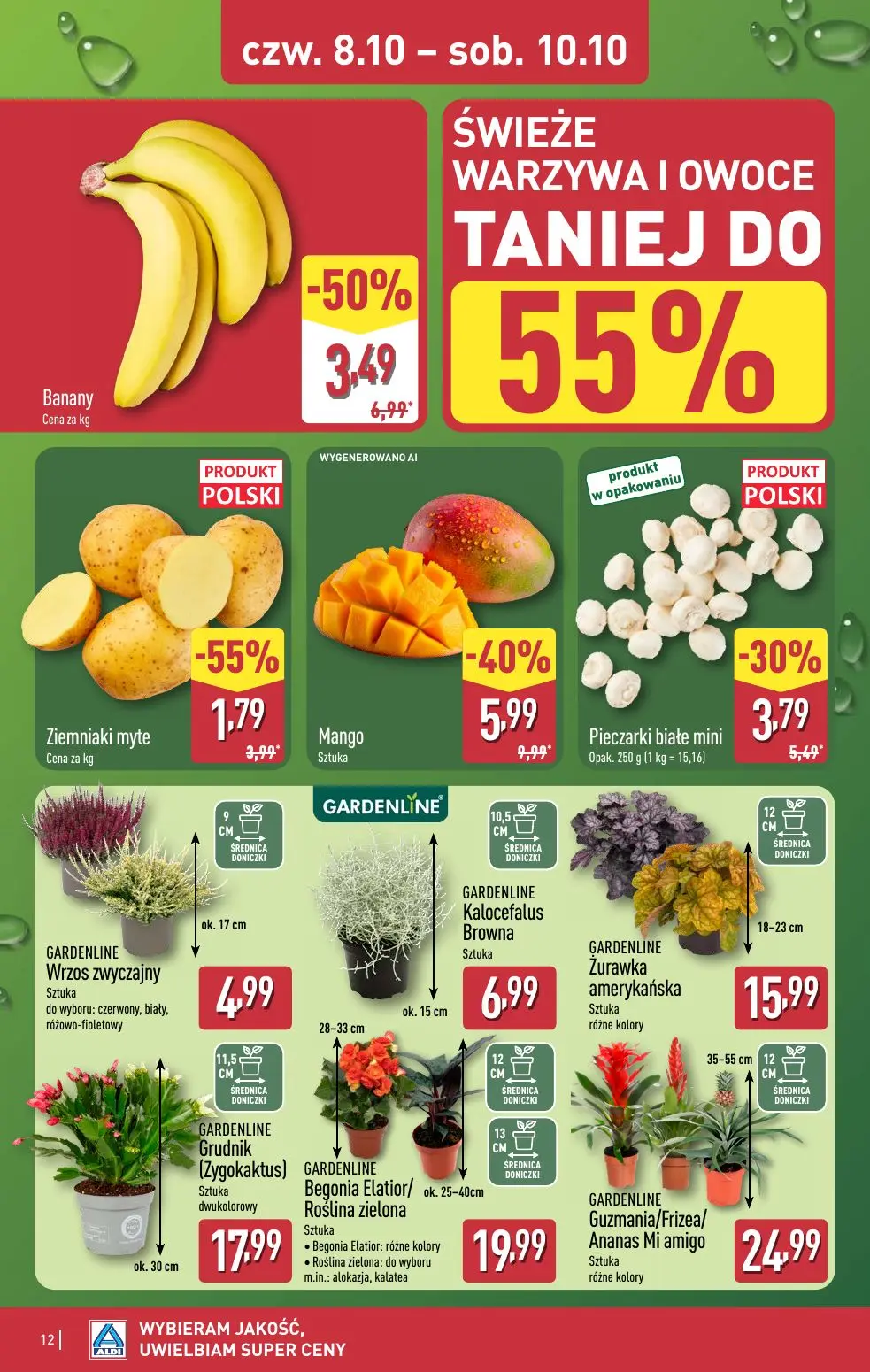 gazetka promocyjna ALDI Oferta na WEEKEND - Strona 12