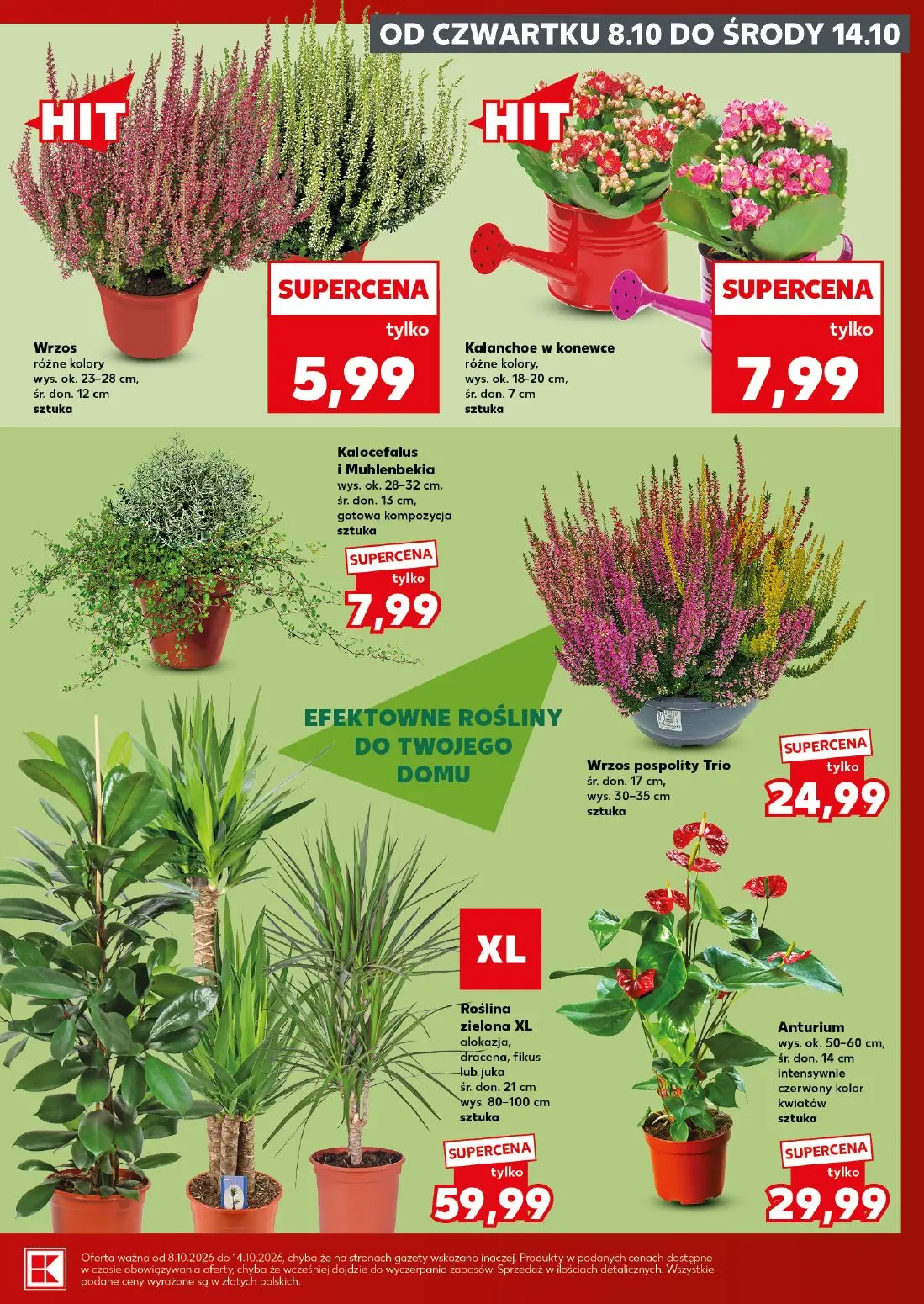gazetka promocyjna Kaufland Super Sobota - Strona 7
