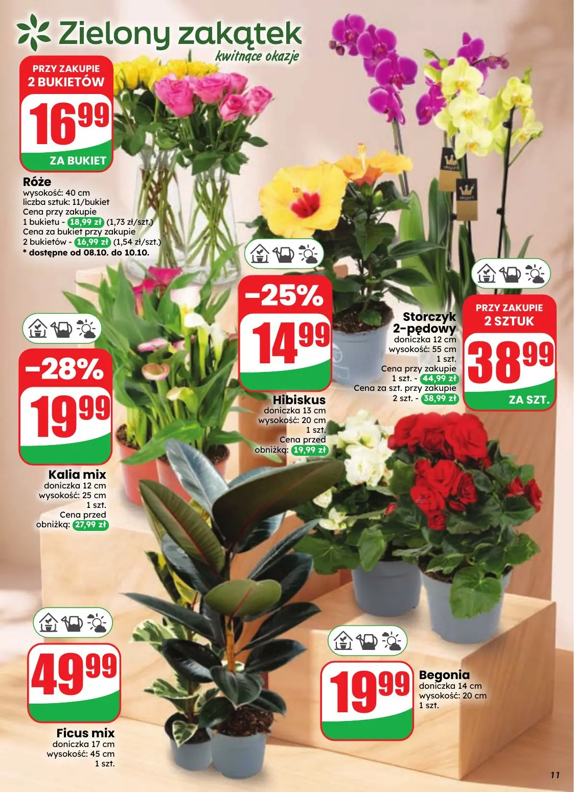 gazetka promocyjna dino Najbliżej Ciebie - Strona 11