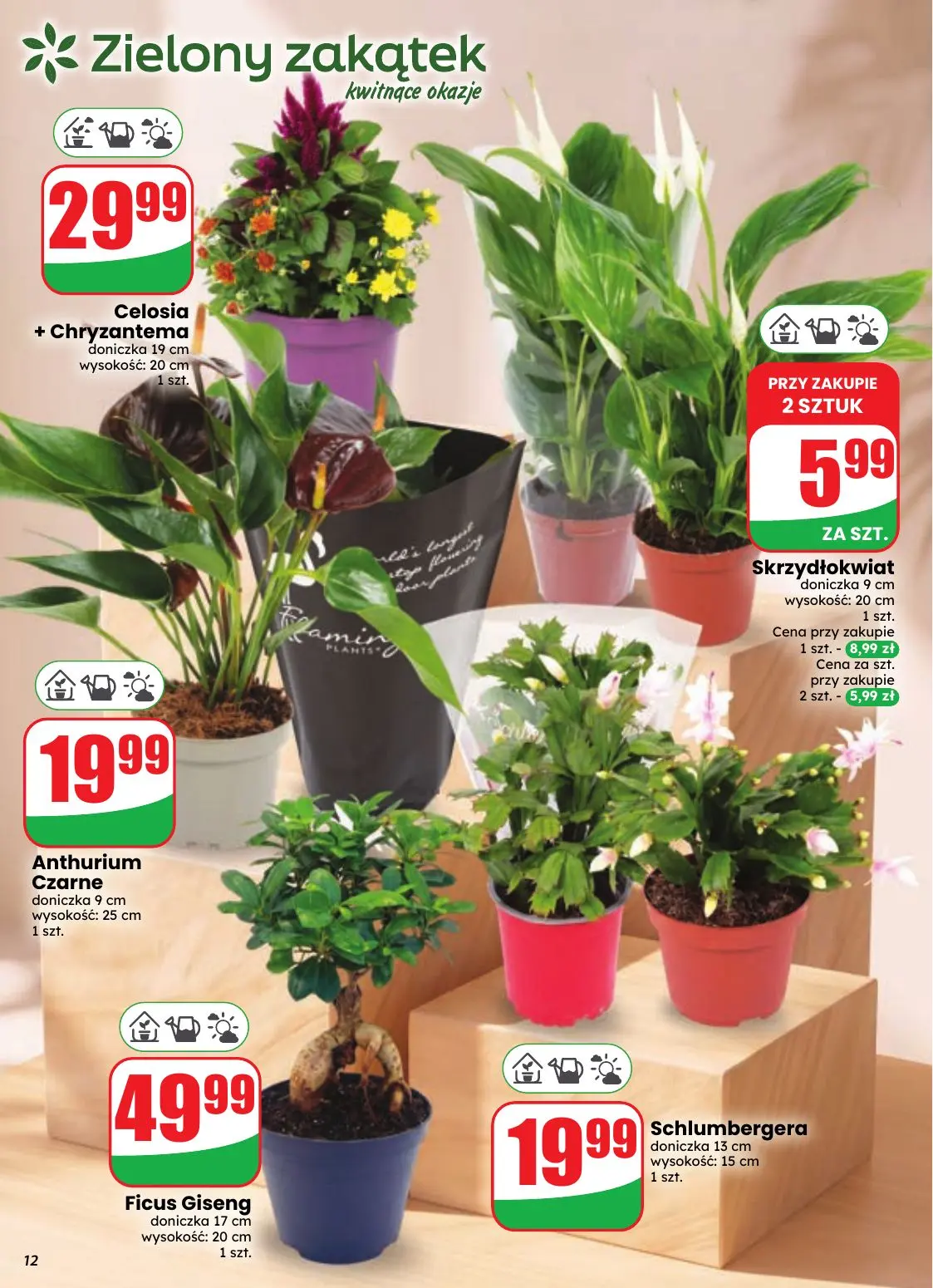 gazetka promocyjna dino Najbliżej Ciebie - Strona 12