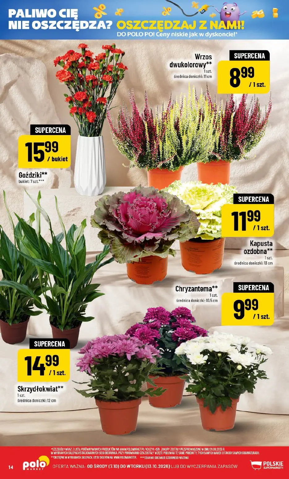 gazetka promocyjna POLOmarket Pomorskie, zachodniopomorskie, kujawsko-pomorskie - Strona 14