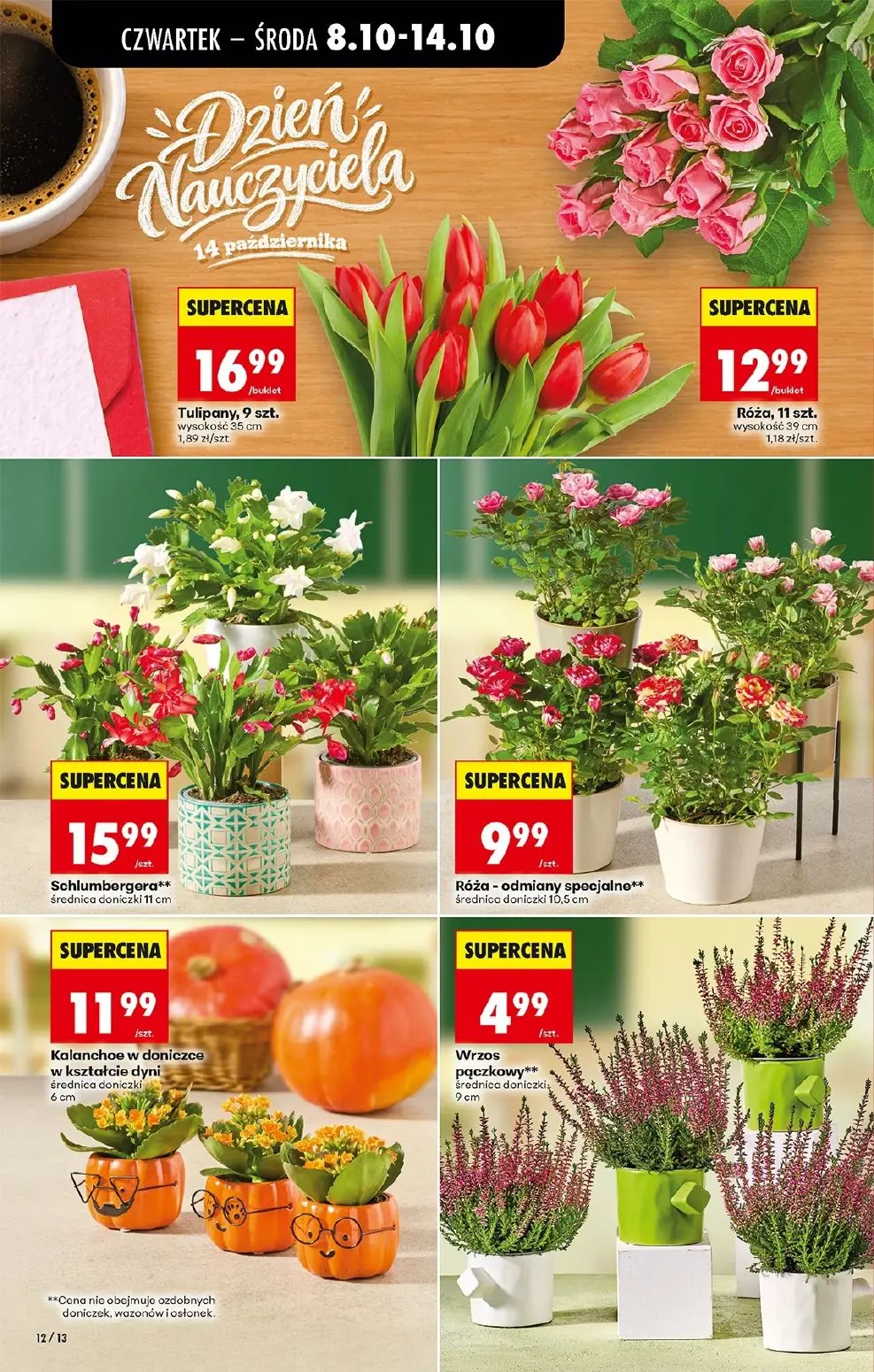 gazetka promocyjna Biedronka Od czwartku - Strona 16