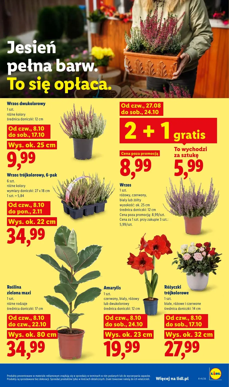 gazetka promocyjna LIDL Od czwartku - Strona 85