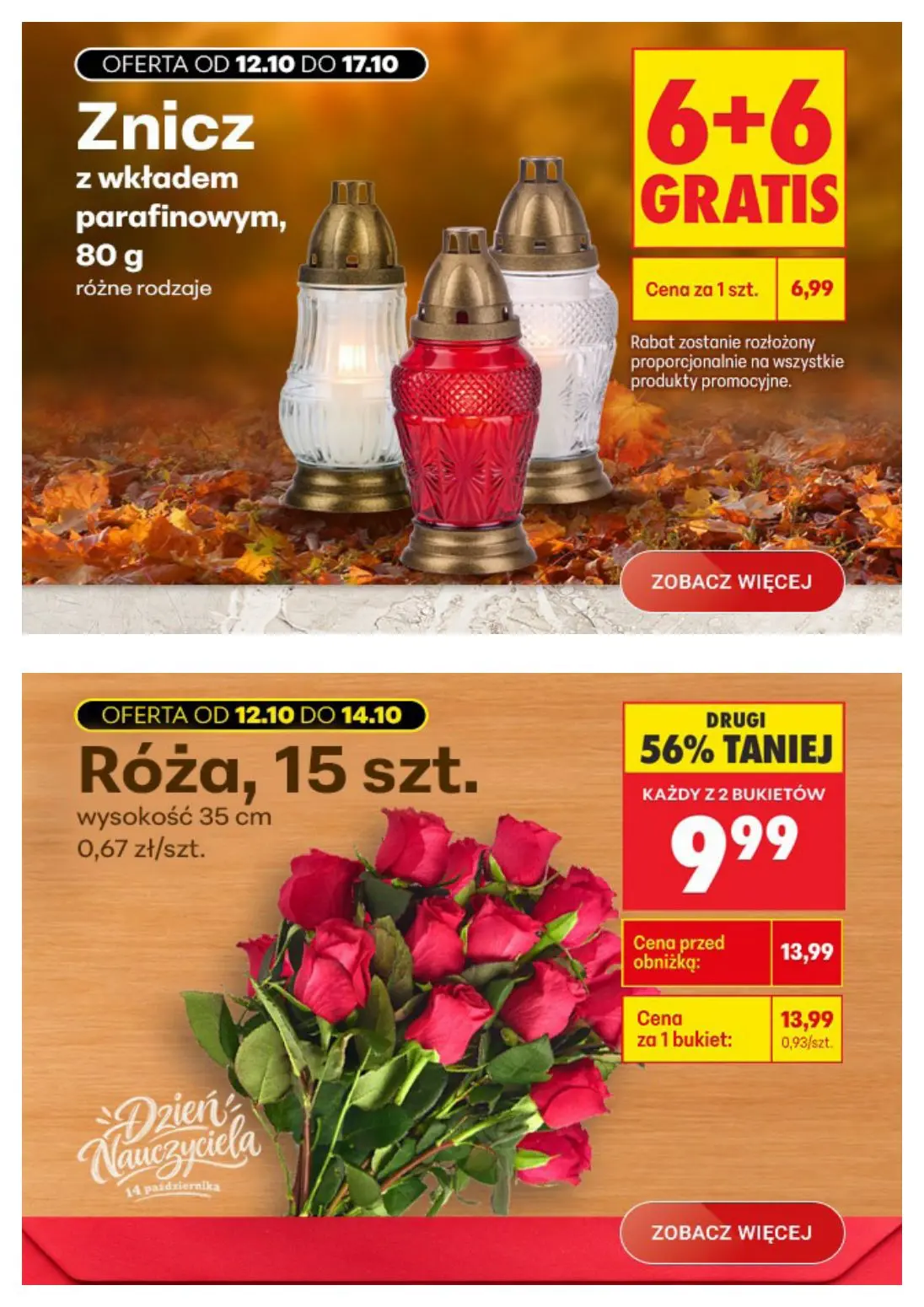 gazetka promocyjna Biedronka Biedronkowe oszczędności - Strona 10