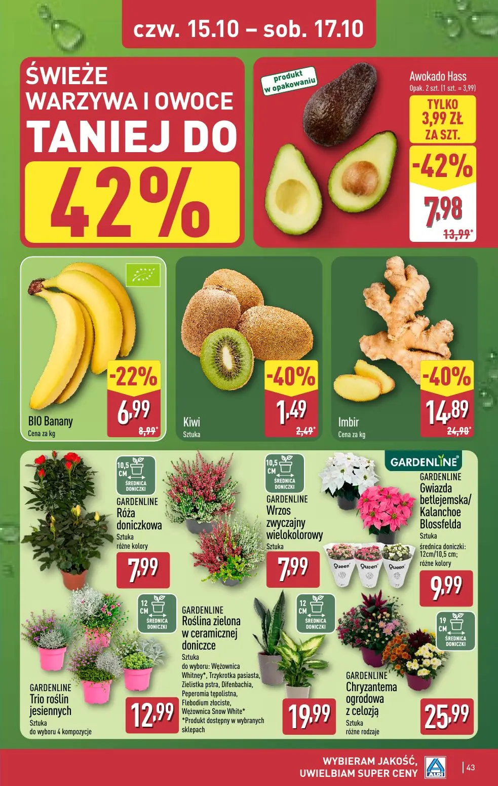 gazetka promocyjna ALDI Wybieram ALDI - Strona 43