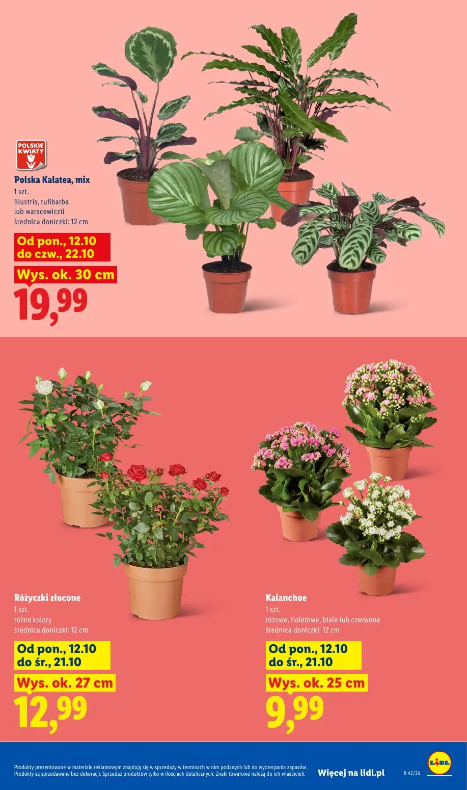 gazetka promocyjna LIDL Od poniedziałku - Strona 9