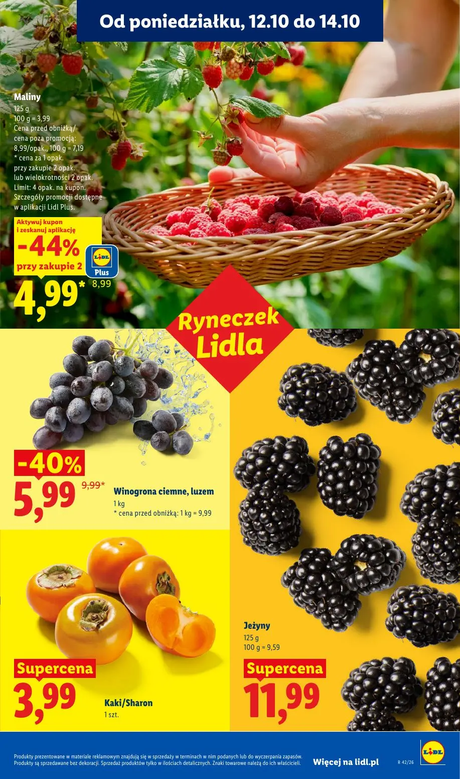 gazetka promocyjna LIDL Od poniedziałku - Strona 51