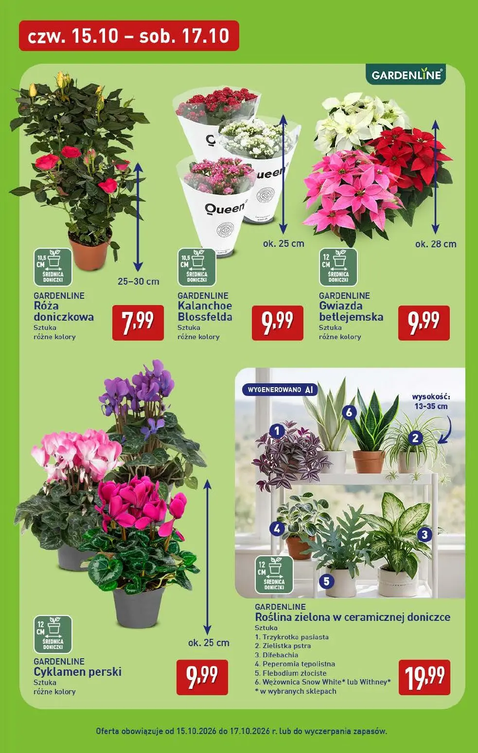 gazetka promocyjna ALDI Oferta na WEEKEND - Strona 7