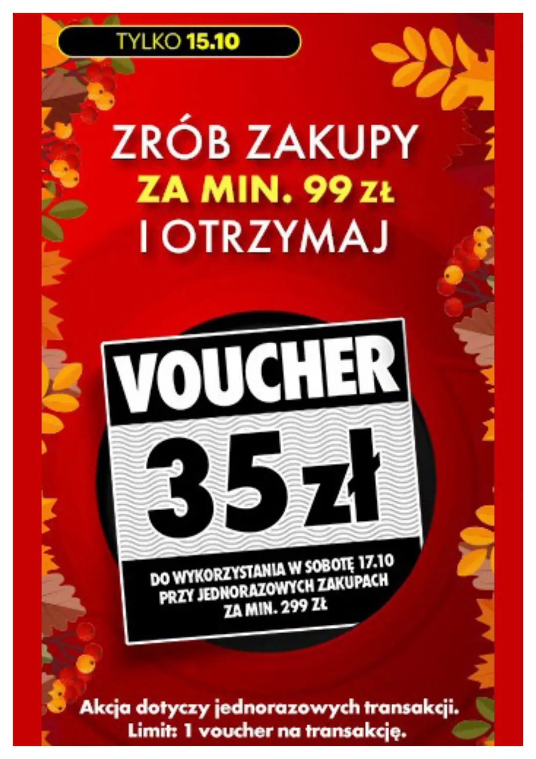 gazetka promocyjna Biedronka Biedronkowe oszczędności - Strona 10