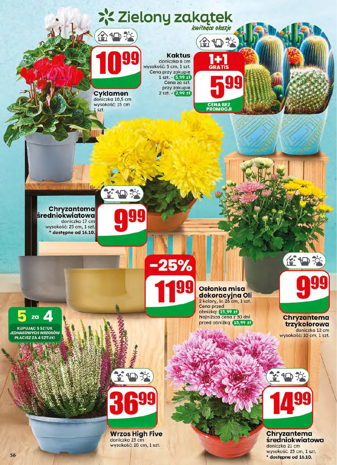 gazetka promocyjna dino Najbliżej Ciebie - Strona 56