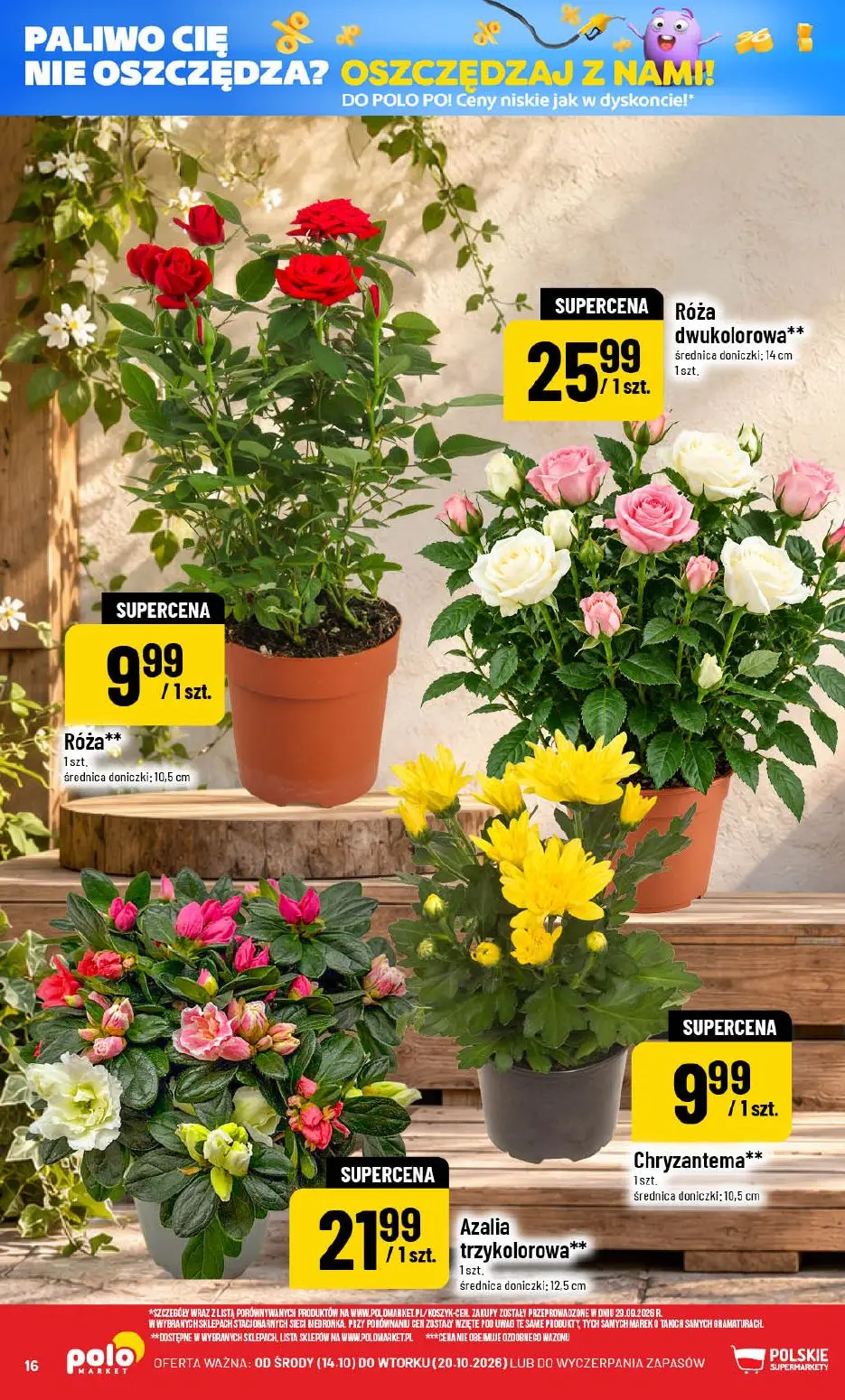 gazetka promocyjna POLOmarket Oszczędzaj z nami - Strona 16